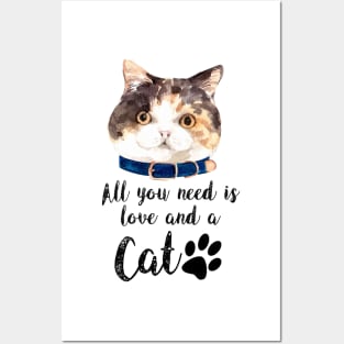 All you need is love and a cat Posters and Art